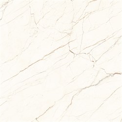 CEASAR - фото 45755