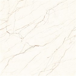 CEASAR - фото 45756