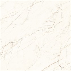 CEASAR - фото 45761