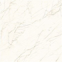 CEASAR - фото 45764