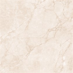 ARCTIC PEARL - фото 45812