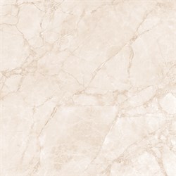 ARCTIC PEARL - фото 45813