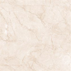 ARCTIC PEARL - фото 45820