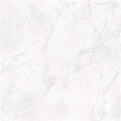 ARCTIC WHITE - фото 45825