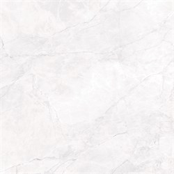 ARCTIC WHITE - фото 45826