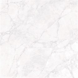 ARCTIC WHITE - фото 45827