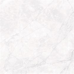 ARCTIC WHITE - фото 45828