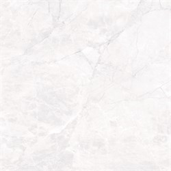 ARCTIC WHITE - фото 45829