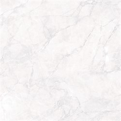 ARCTIC WHITE - фото 45830