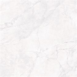 ARCTIC WHITE - фото 45831