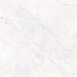 ARCTIC WHITE - фото 45832