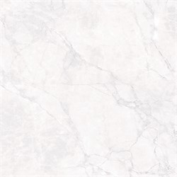 ARCTIC WHITE - фото 45833