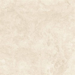 RT6010-B ARAWAK BEIGE 600x600x8 - фото 46028