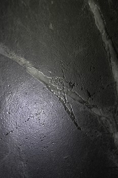 CASSERO NERO - фото 46155