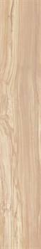 PEARSIAN WOOD IVORY - фото 46603