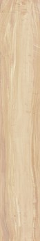 PEARSIAN WOOD IVORY - фото 46615