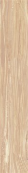 PEARSIAN WOOD IVORY - фото 46616