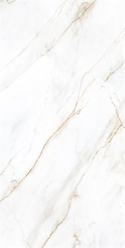 SELVA GOLD - фото 46670