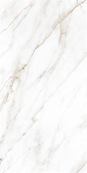 SELVA GOLD - фото 46671