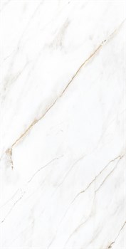 SELVA GOLD - фото 46672