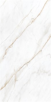 SELVA GOLD - фото 46674