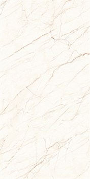 CEASAR LAPPATO - фото 46691