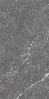 ESPERIA GRIGIO LAPPATO - фото 46783