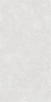 OVIEDO SILVER SOLIDO - фото 47017