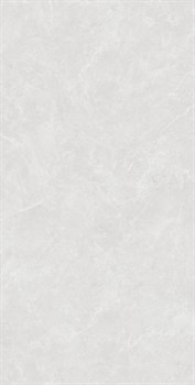 OVIEDO SILVER SOLIDO - фото 47020