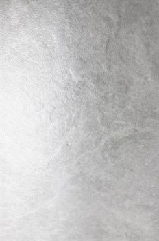 OVIEDO SILVER SOLIDO - фото 47022