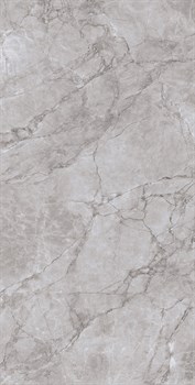 ARCTIC GREY LAPPATO - фото 47090