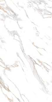 CALACATTA GOLD - фото 47181