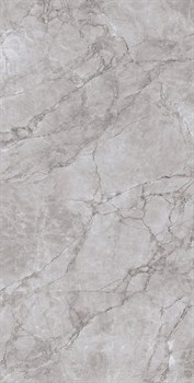 ARCTIC GREY - фото 47210