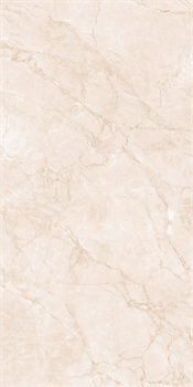 ARCTIC PEARL - фото 47226