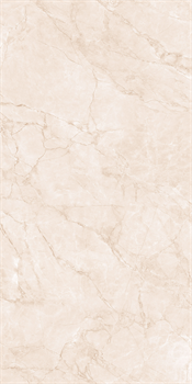 ARCTIC PEARL - фото 47227