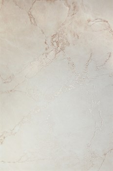 ARCTIC PEARL - фото 47228