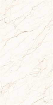 CEASAR - фото 47232