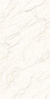 CEASAR - фото 47235