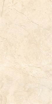 MARCUS CREMANO - фото 47384