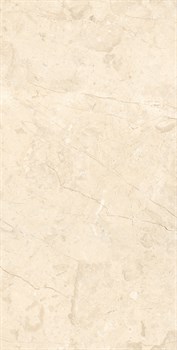 MARCUS CREMANO - фото 47387