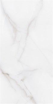 FEATHER ONYX - фото 47419