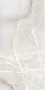 ONYX MAX - фото 47498