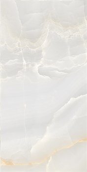 ONYX MAX - фото 47501