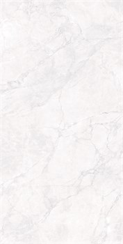 ARCTIC WHITE - фото 47550