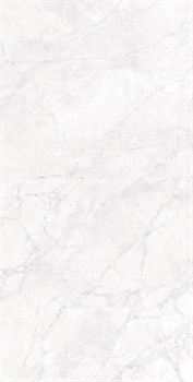 ARCTIC WHITE - фото 47551