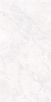 ARCTIC WHITE - фото 47554