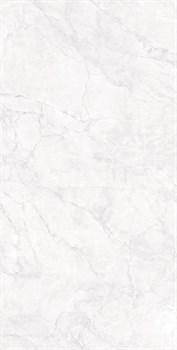 ARCTIC WHITE - фото 47555