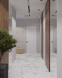 BORGHINI SILVER - фото 47561