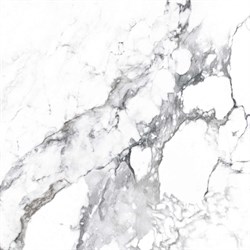 BORGHINI SILVER - фото 47562