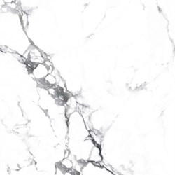 BORGHINI SILVER - фото 47563